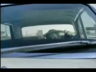 Plane Crash Lands On Road September 2010