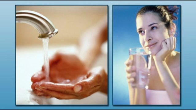 Water Treatment, Water Analysis & Iron Water Leesburg, FL - EcoWater Systems