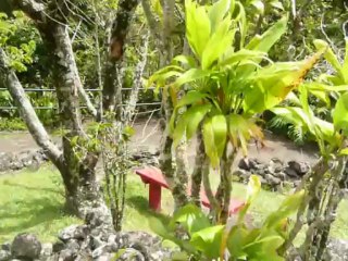 MAUI, HAWAII 2013  091