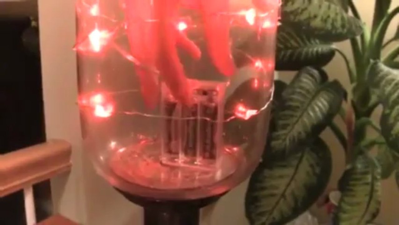 Solar String Lights | Solar Powered Outdoor String Lights