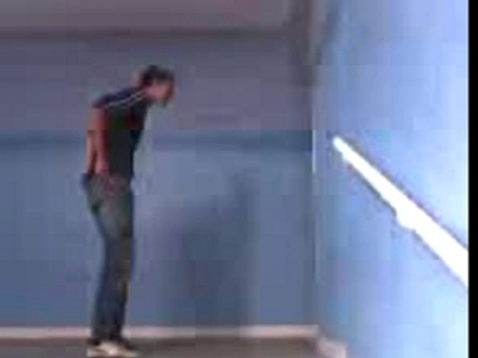 jmontr  mn cu o pintr du mont duplan