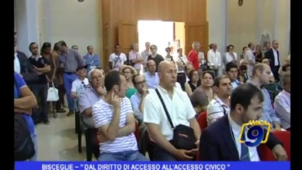 Bisceglie | Dal diritto di accesso all'eccesso civico