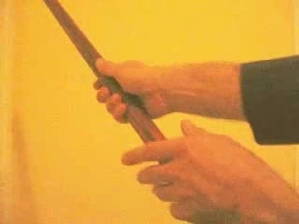 damienche le magicienche
