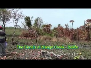 The Canals at Mango Creek |Property in Belize |904-321-9290