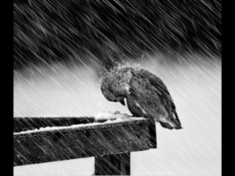 Aşk iki kişiliktir