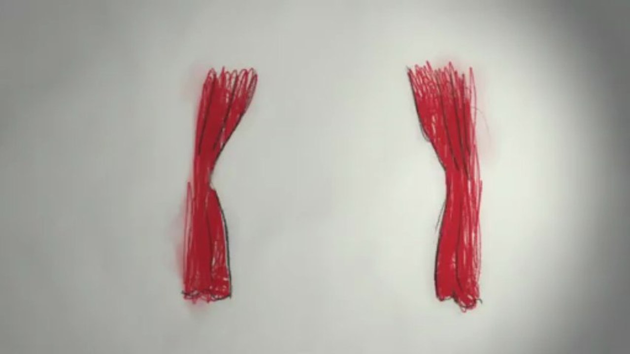 Une petite histoire des... prix de Cannes