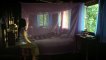 Long Boonmee raluek chat (Uncle Boonmee who can recall his past lives) de Apichatpong Weerasethakul