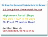 !!@8826866550/1/2@!! SS group new projects sector 86 gurgoan