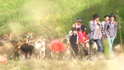 L'emmontagnée 2013 chez Pépé Nicolas