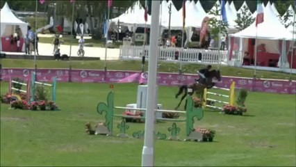 Aresse M Dollar Du Murier x Quick Star x Ramiro 140 cm Fontainebleau Grand National