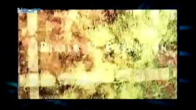 Nolife sur Ecrans.fr : Oscillation sur Diablo et Diablo 2