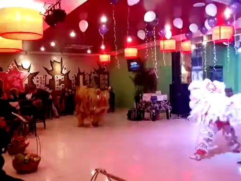 biểu diễn múa lân, & cho thuê xiếc thú & ảo thuật: 091 555 2031