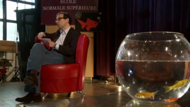 Daniel Cohen: les Etats ont-ils appris de la crise financière?