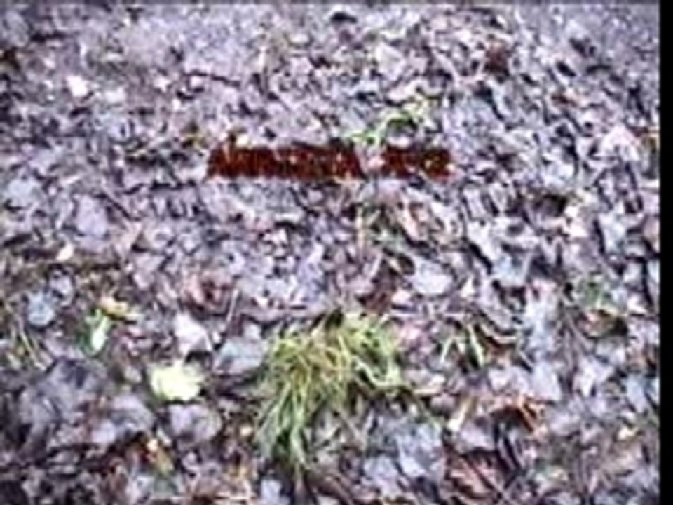 Alfa Roméo 156 Gta rallye