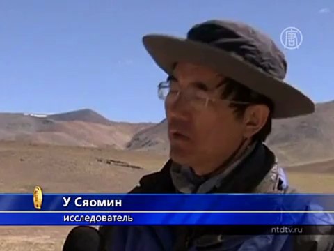 Открытие: у антилоп Тибета есть еще один «роддом»