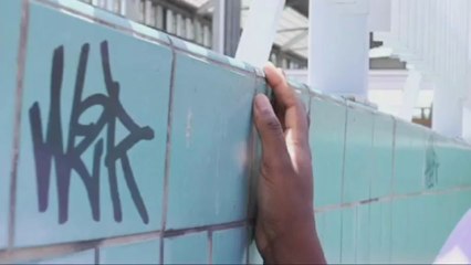 Nous, princesses de Clèves