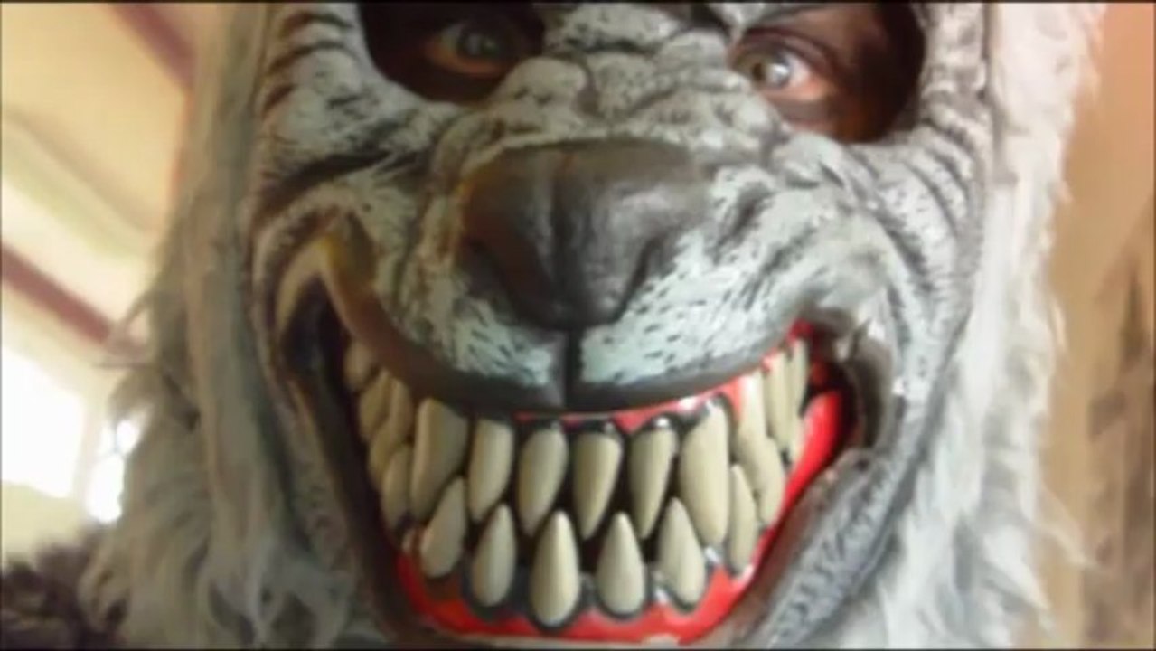 Léonie Laurent : Tel est pris qui croyait prendre !