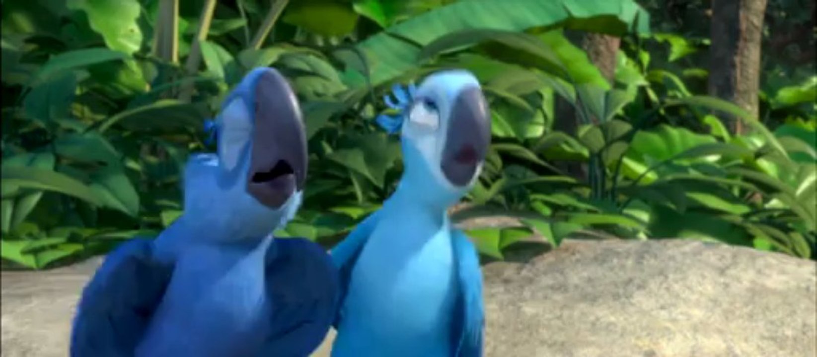 Rio (ça plane pour lui!)