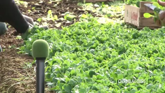 Made in bio (1): les agriculteurs