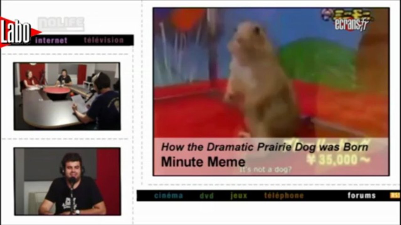 Joyeux anniversaire au dramatique chien de prairie