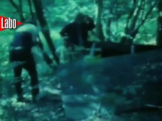 Entretien avec Jonas Mekas