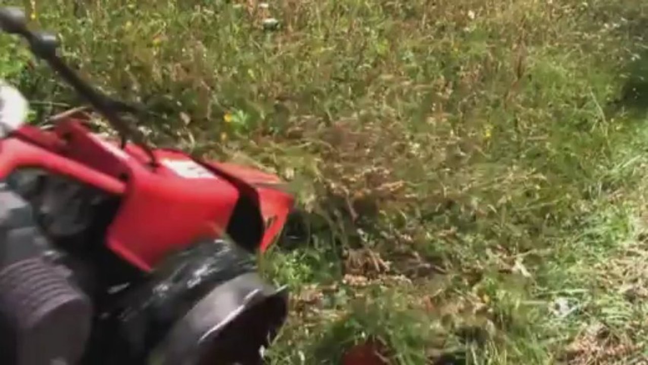 De Mémoires d'ouvriers