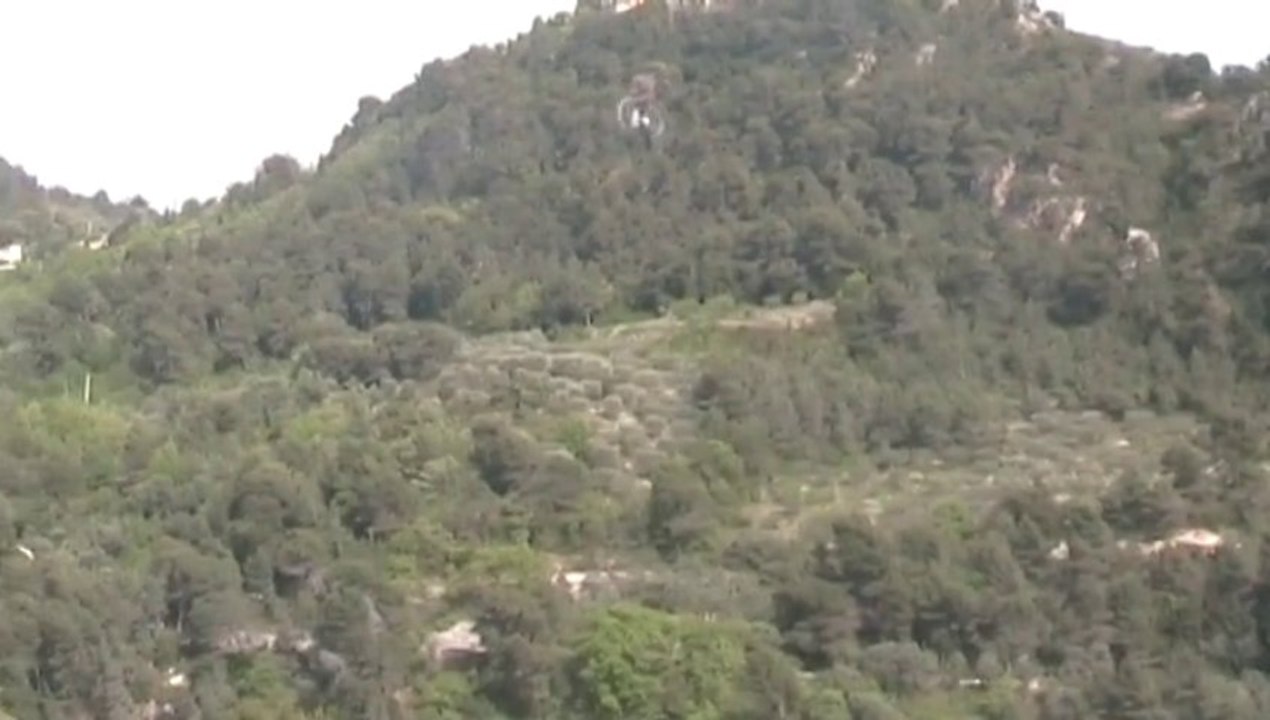 KDS600 FBL Beginner flying .