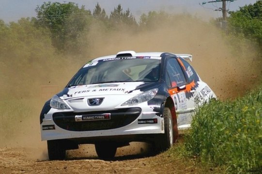 Rallye Terre de Langres 2013