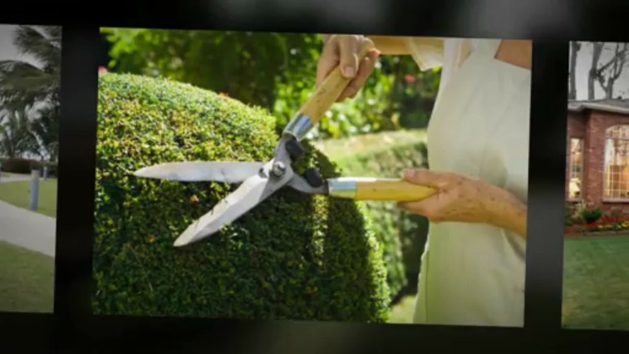 Landscape Creations (970) 405-0157