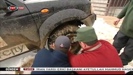 Zor Yollar 9.Bölüm