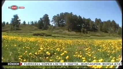 Zor Yollar 16.Bölüm