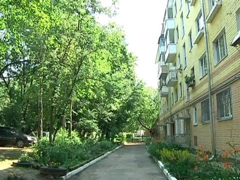 Жизнь через окно