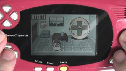 CGR Undertow - DOKODEMO HAMSTER 3 review for WonderSwan