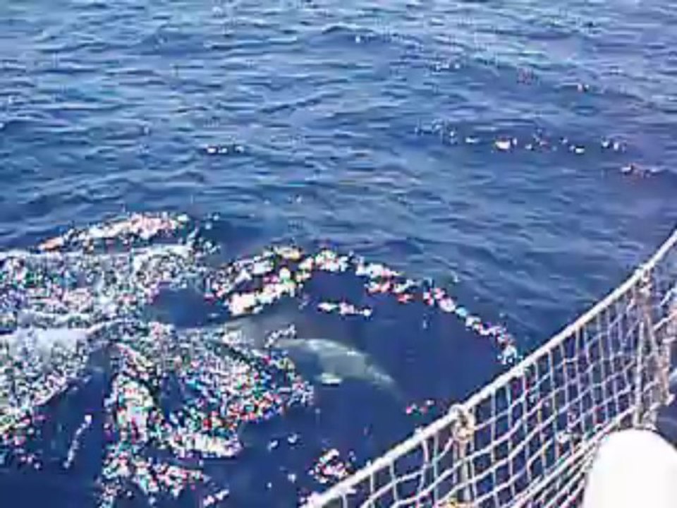 photos et video samos 067