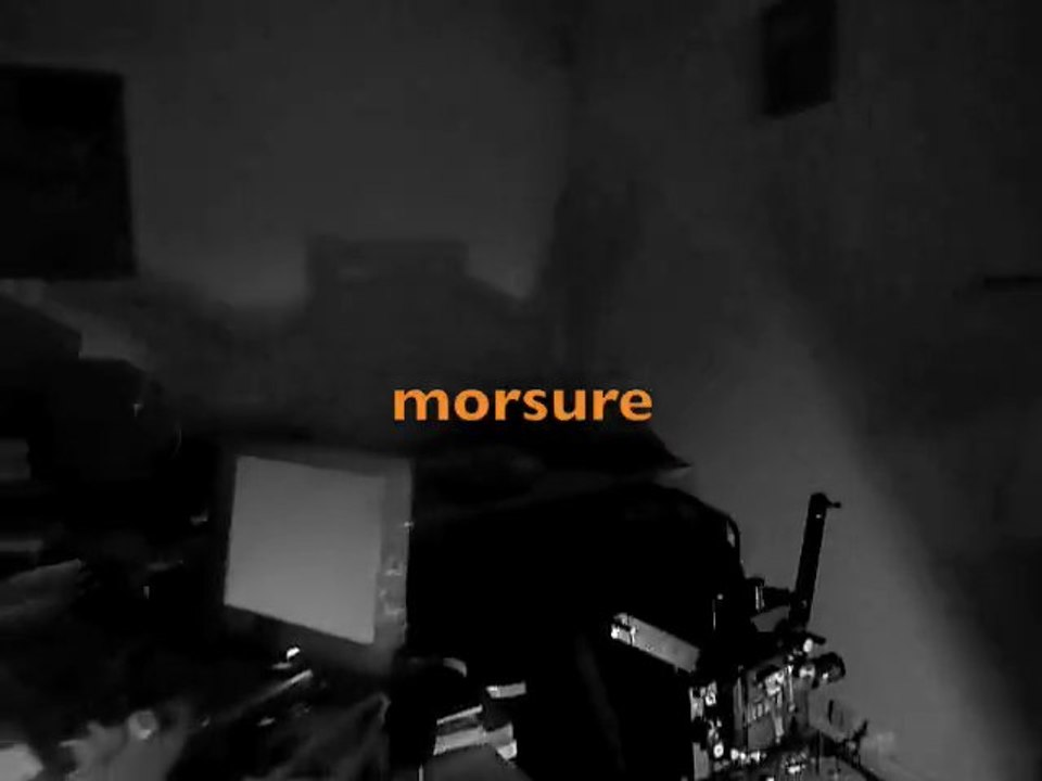 morsure