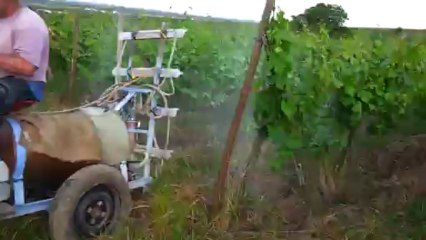 Traitement bio avec notre cheval Skippy -retour-