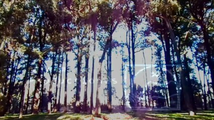 Día gris (Instrumental)