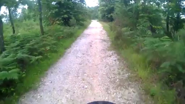 cani sport 33 entrainement cani VTT