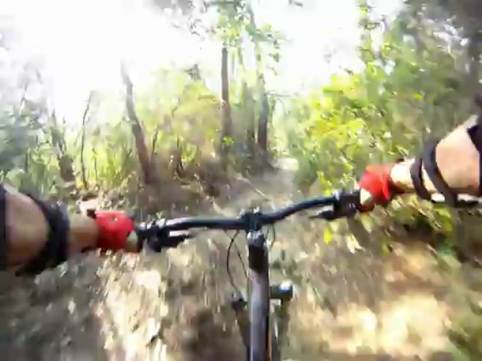 PJRS