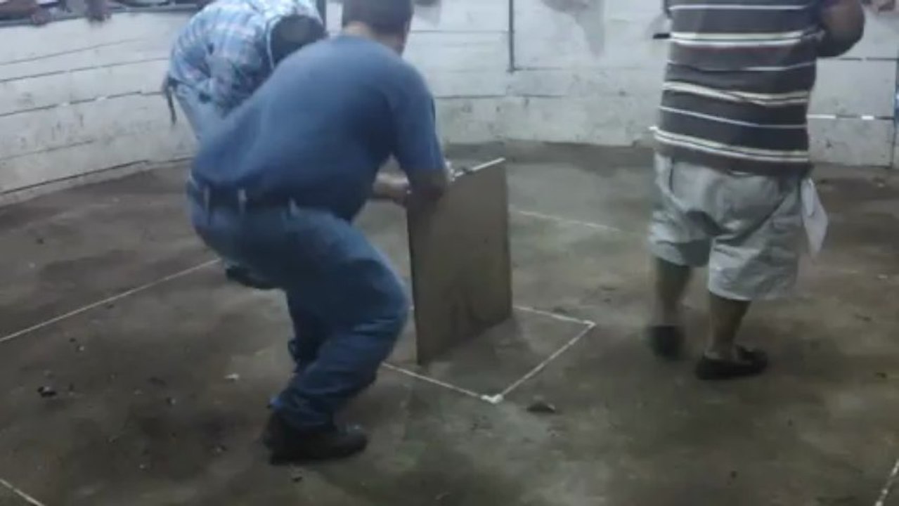 jovany video gallo