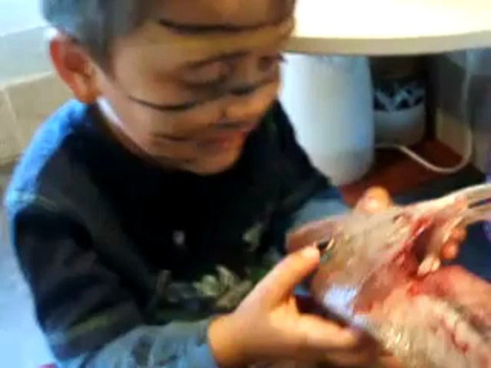 Garçon mange des yeux de poisson cru