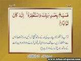 110 - Irfan ul Quran, Sura An-Nasr by Shaykh ul Islam Dr. Muhammad Tahir ul Qadri