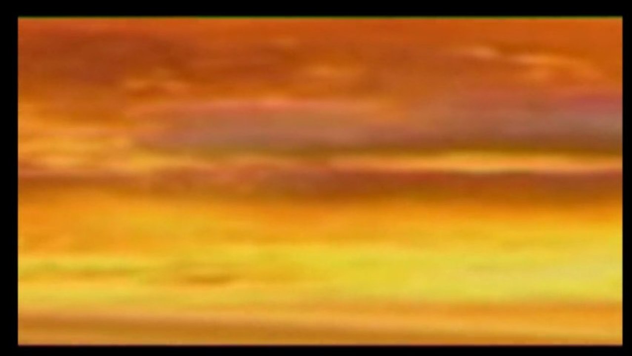 EXHIBICION LAS NORIAS 2013-BESTIALQUAD