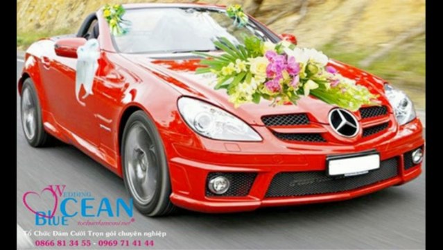 Tổ Chức Đám Cưới Trọn Gói Đại Dương Xanh