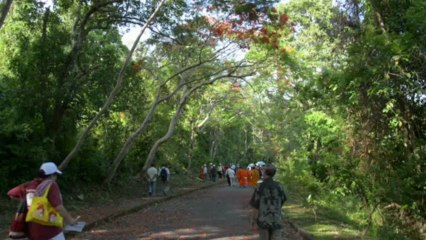 Cambodia Khmer healers get schooled in ancient art
