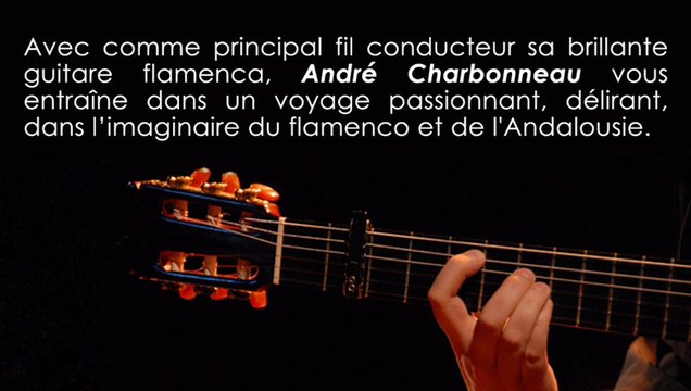 OLE ! ANDRE CHARBONNEAU Spectacle Flamenco Andalousie interactif