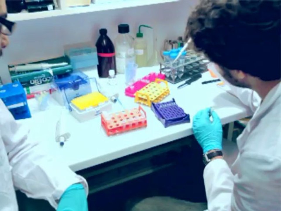 Le teaser du webdocumentaire : "Bricoleurs d'ADN"