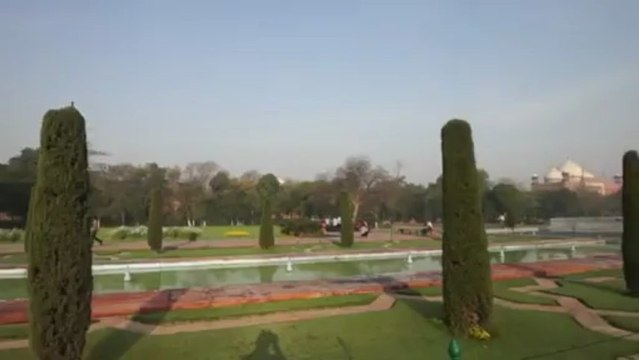 Dr Rodney Aziz - Taj Mahal - Dr Rodney Aziz