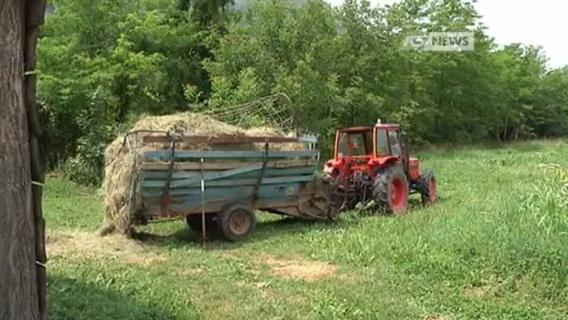 75ENNE MUORE FOLGORATO A VILLAGA