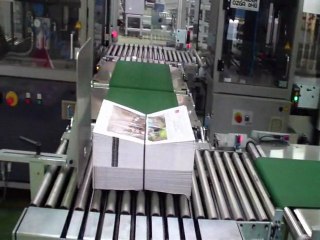 RECMI Industrie_Convoyage paquet/cartouche_Bundle/Log conveyors